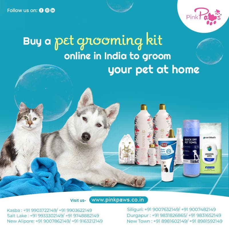 Buy a pet grooming kit online in India to groom your pet at home