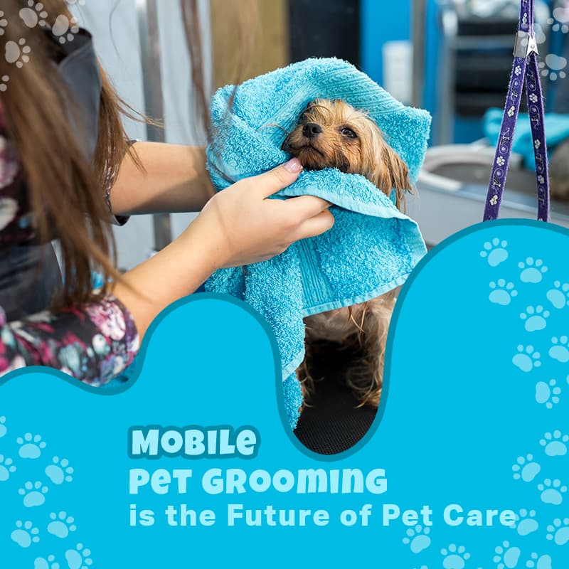 Why Mobile Pet Grooming is the Future of Pet Care