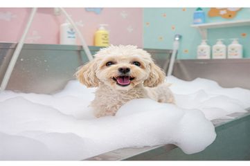 BIO GROOM & EARTH BATH SPECIAL SPA