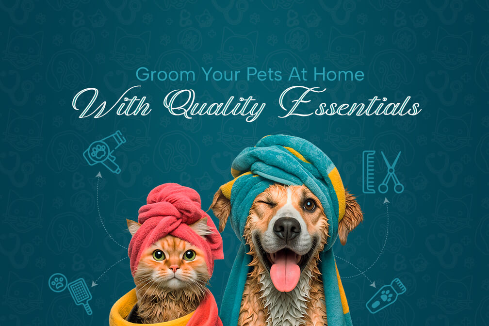 Groom Your Pet