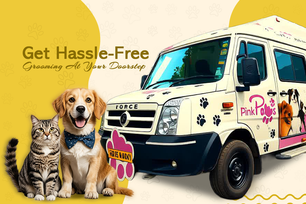 Book Your Grooming On Wheels Service