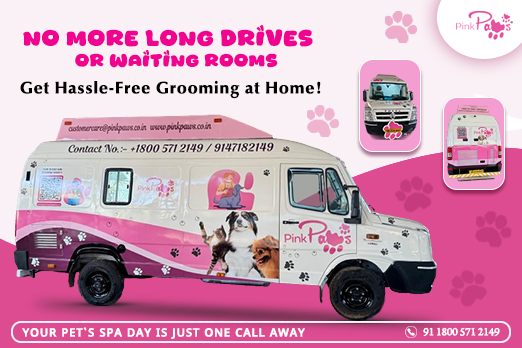 Book Your Grooming On Wheels Service